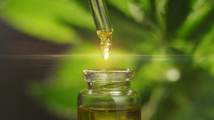 Consumer Brands Association Creates Expert CBD Board